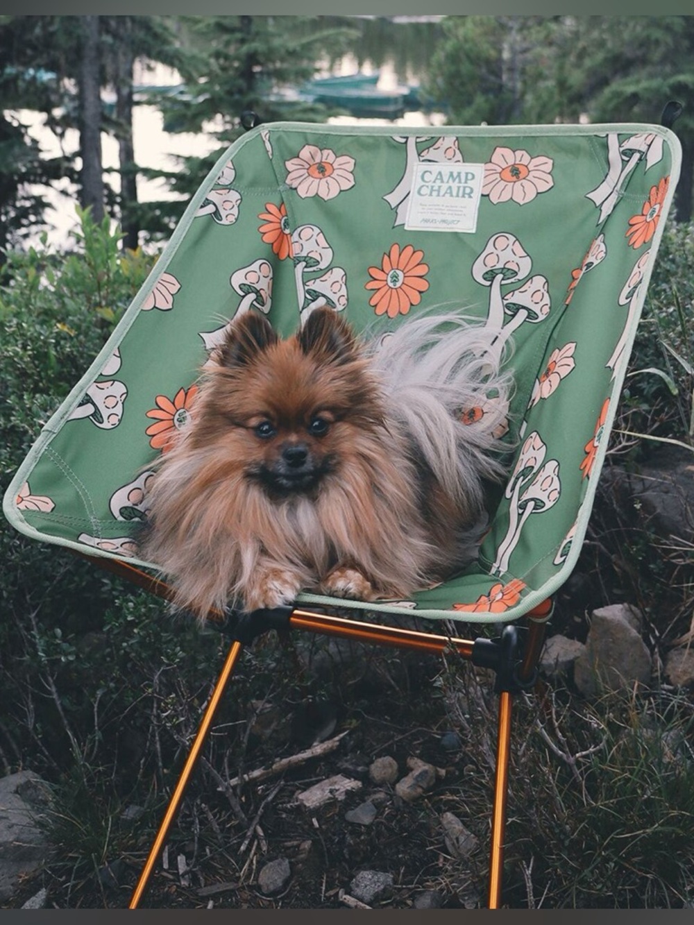 Parks Project Shrooms Packable Camp Chair - Picture 5 of 16
